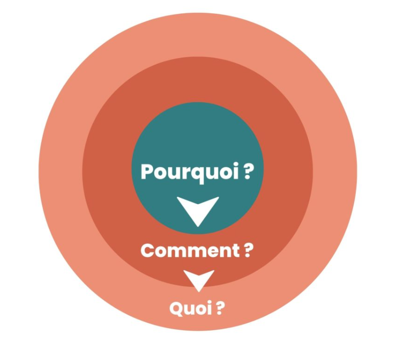 Schéma du cercle d'or de l'organisation